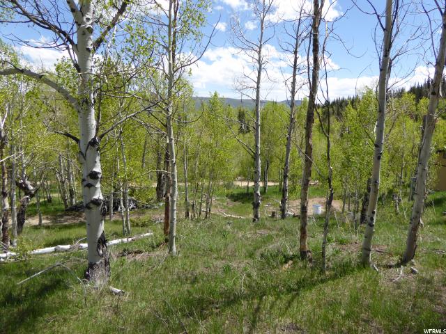 #19, Scofield, UT 84526 — photo 5