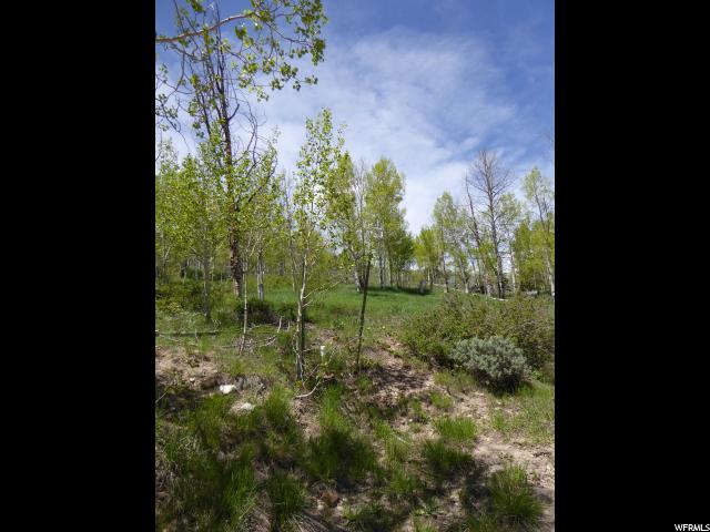 #19, Scofield, UT 84526 — photo 9