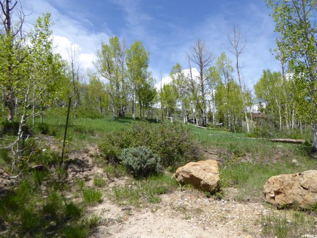 #19, Scofield, UT 84526 — photo 11
