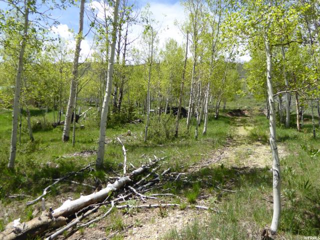 #19, Scofield, UT 84526 — photo 10