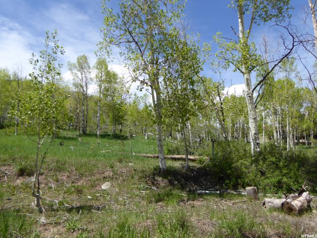 #19, Scofield, UT 84526 — photo 12