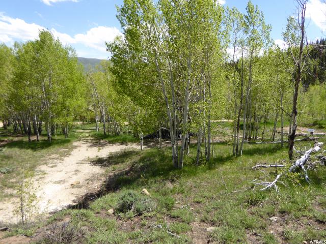 #19, Scofield, UT 84526 — photo 4