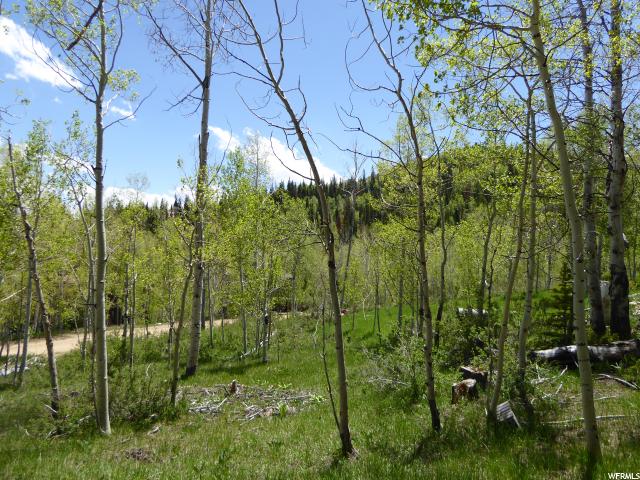 #19, Scofield, UT 84526 — photo 3