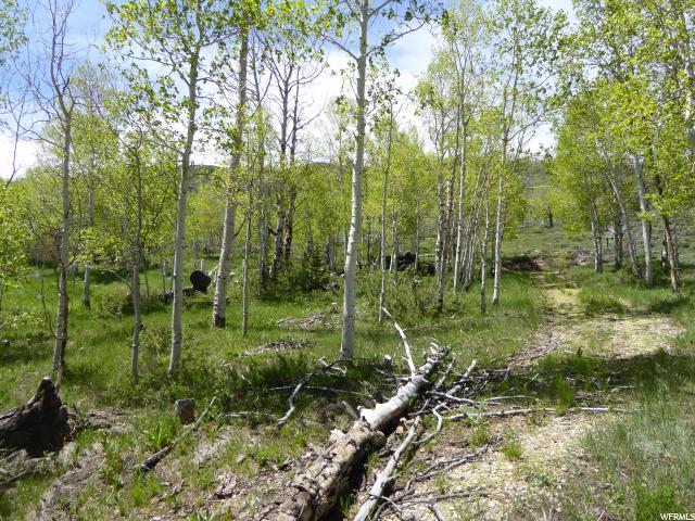 #19, Scofield, UT 84526 — photo 8