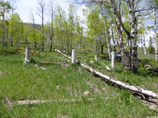 #19, Scofield, UT 84526 — photo 7