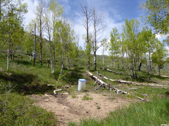 #19, Scofield, UT 84526 — photo 6