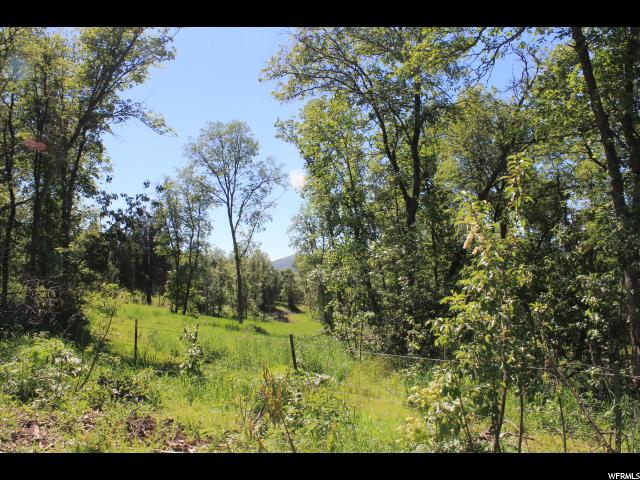 1600 N Litz Rd, Preston, ID 83263 — photo 5
