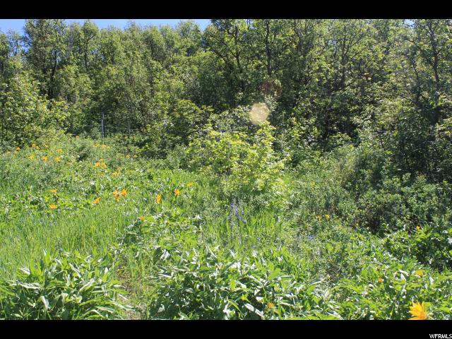 1600 N Litz Rd, Preston, ID 83263 — photo 8