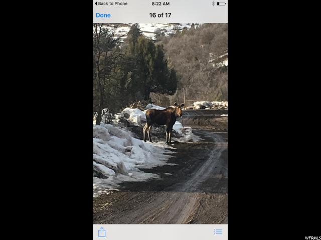 1600 N Litz Rd, Preston, ID 83263 — photo 12