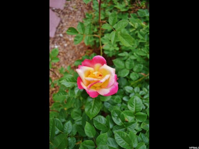 1729 E Castle Ave, Price, UT 84501 — photo 6