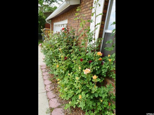 1729 E Castle Ave, Price, UT 84501 — photo 5