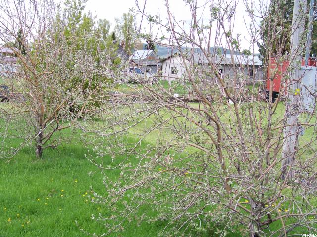 149 W 4th St, Georgetown, ID 83239 — photo 3