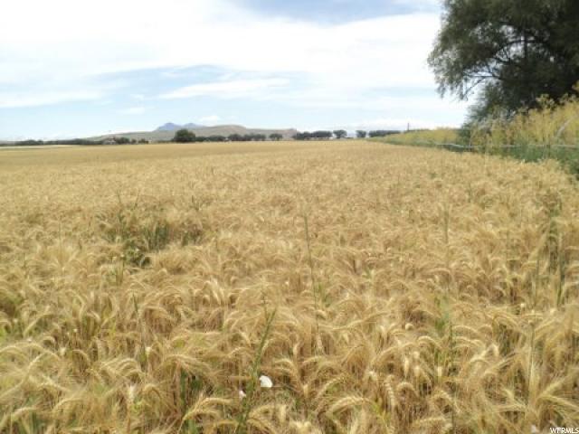 3 S 5500 W, Mendon, UT 84325 — photo 2