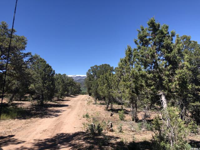 Tabiona, UT 84072 — photo 10