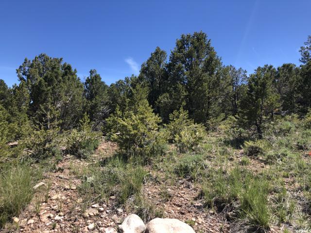 Tabiona, UT 84072 — photo 2