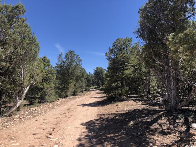 Tabiona, UT 84072 — photo 3