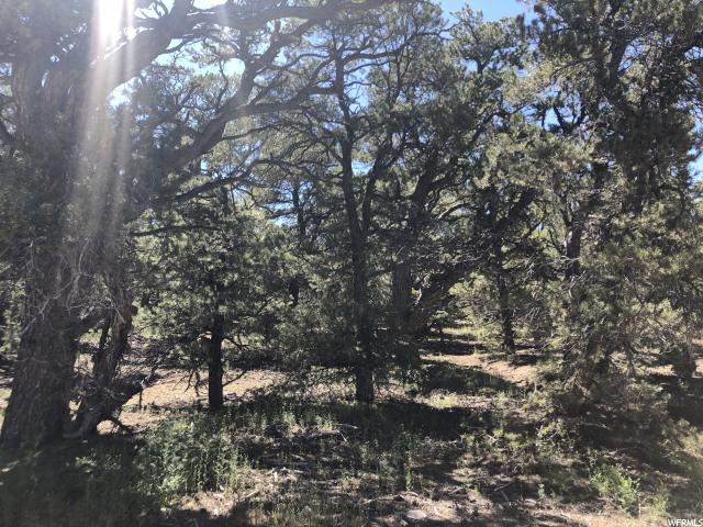 Tabiona, UT 84072 — photo 8