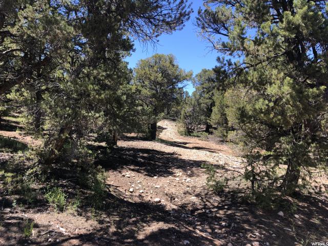 Tabiona, UT 84072 — photo 7