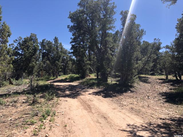 Tabiona, UT 84072 — photo 9