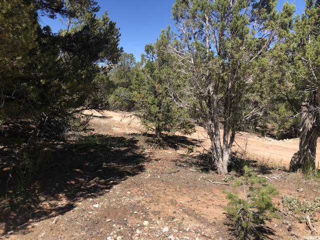 Tabiona, UT 84072 — photo 4