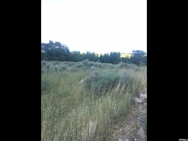 #4, Willard, UT 84340 — photo 5