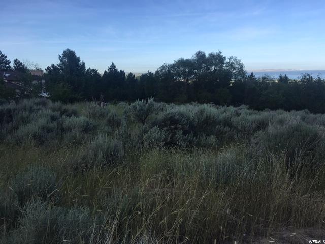 #4, Willard, UT 84340 — photo 4