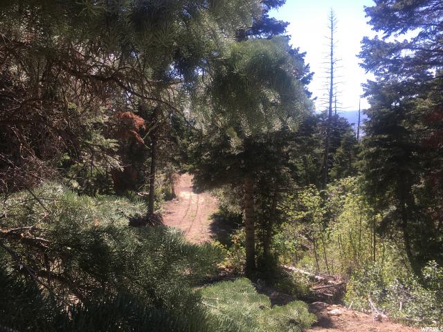 #62, Mt Pleasant, UT 84647 — photo 6