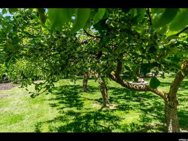 1109 E 1900 N, North Logan, UT 84341 — photo 9