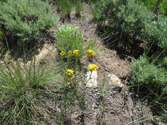 #2, Scofield, UT 84526 — photo 7