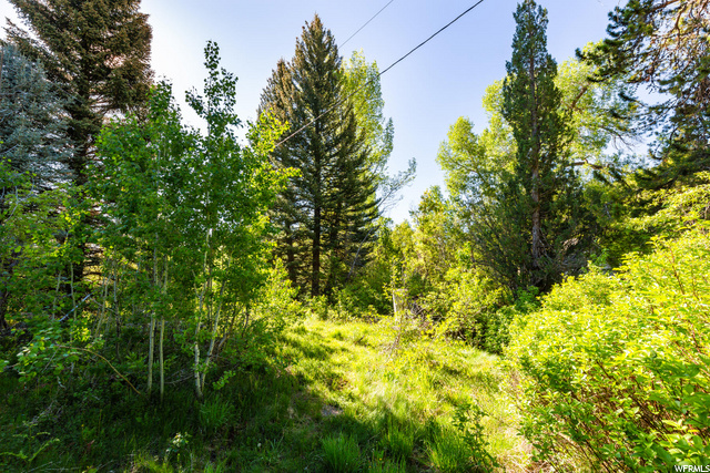 6455 North Fork Rd E, Liberty, UT 84310 — photo 11