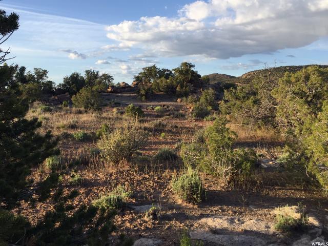 207 E Pole Canyon E #21, Moab, UT 84532 — photo 4