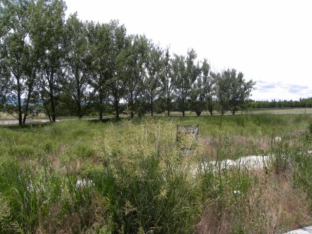589 N 470 E #6, Providence, UT 84332 — photo 4