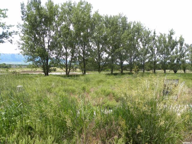 589 N 470 E #6, Providence, UT 84332 — photo 5