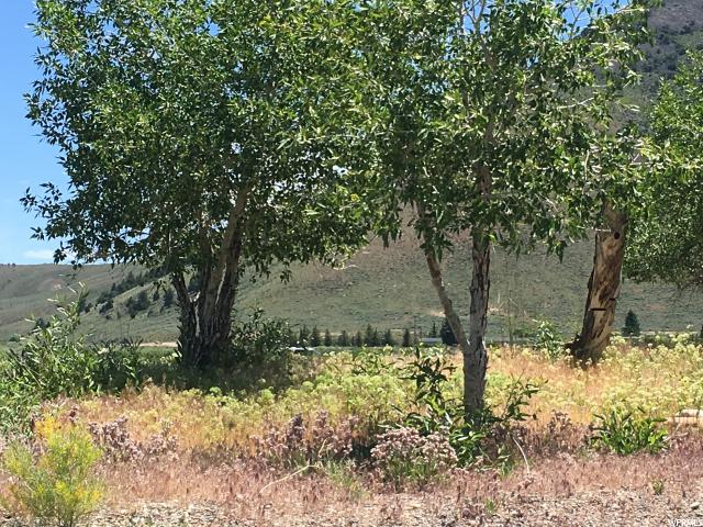 2140 E Black Bear Rd #5, Laketown, UT 84038 — photo 4