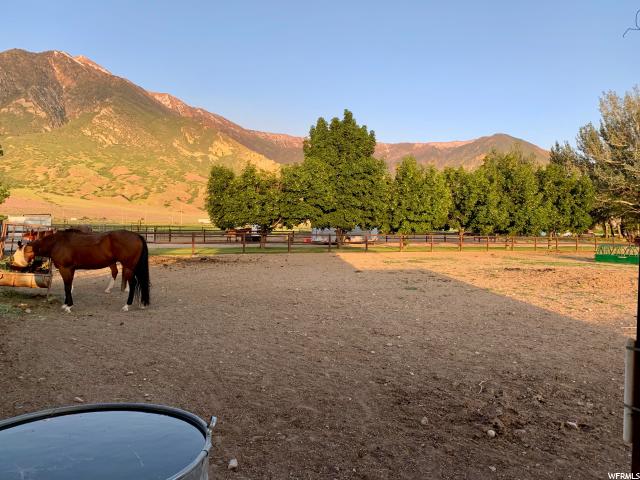 823 E Platt Ln, Mona, UT 84645 — photo 10