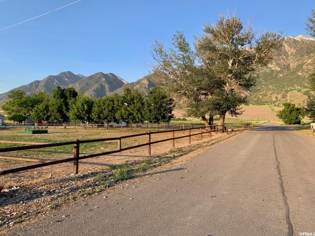 823 E Platt Ln, Mona, UT 84645 — photo 7