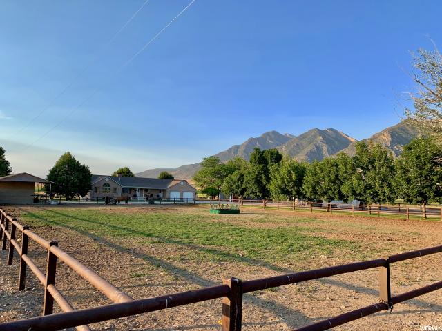 823 E Platt Ln, Mona, UT 84645 — photo 8