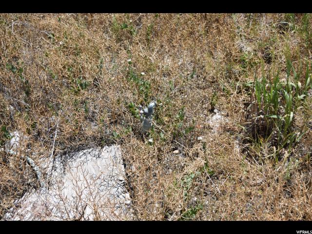 6835 S 4000 E, Price, UT 84501 — photo 3