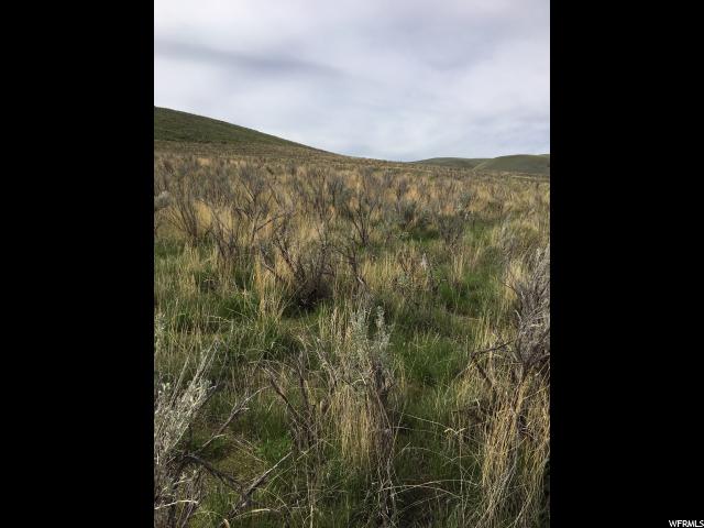 Dingle, ID 83233 — photo 12