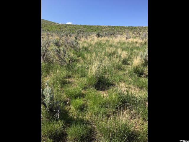 Dingle, ID 83233 — photo 8