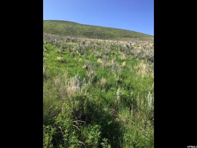 Dingle, ID 83233 — photo 11