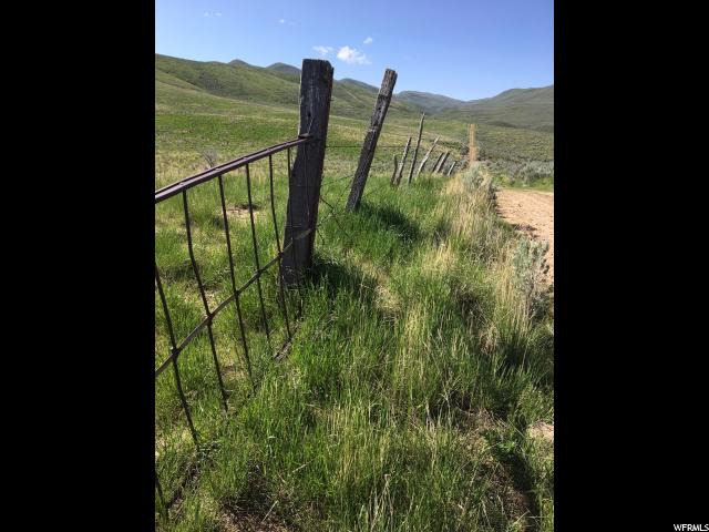 Dingle, ID 83233 — photo 7