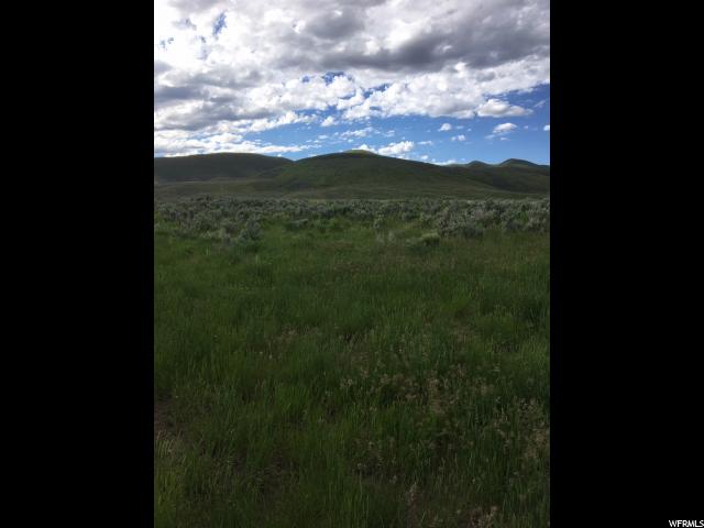 Dingle, ID 83233 — photo 9