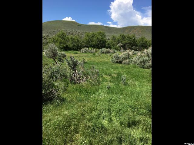 Dingle, ID 83233 — photo 2
