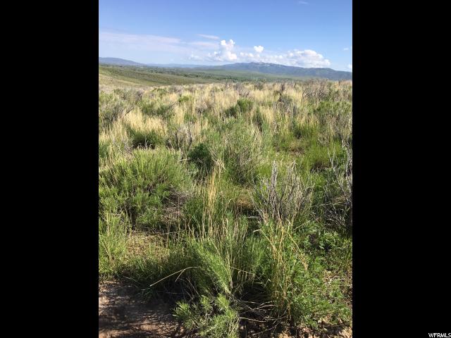 Dingle, ID 83233 — photo 10