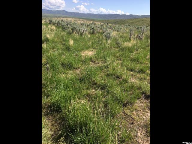 Dingle, ID 83233 — photo 6