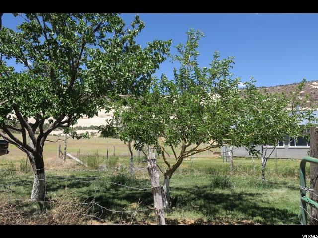 2315 E Draw Rd S, Boulder, UT 84716 — photo 6