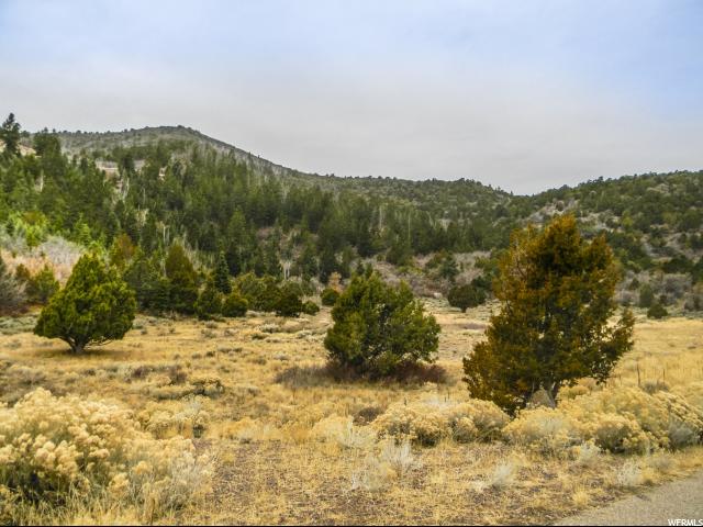 3200 Subdivision Phase 2, Summit, UT 84772 — photo 7