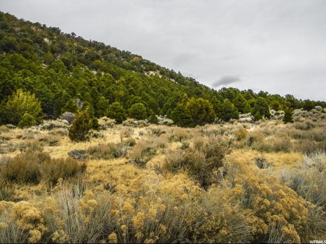 3200 Subdivision Phase 2, Summit, UT 84772 — photo 4