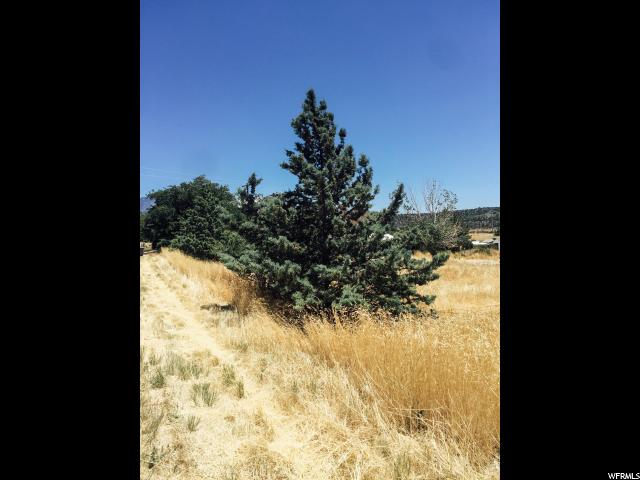 Center St, Veyo, UT 84782 — photo 9